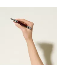 Stylo-Plume Writers Edition Hommage à Bram Stoker Édition Limitée