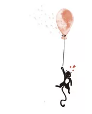 Carte B6 - Chat ballon
